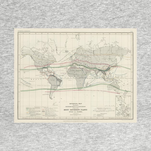 Vintage World Forest & Vegetation Map (1850) by Bravuramedia